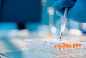 Pharmaceutical Chemicals Market