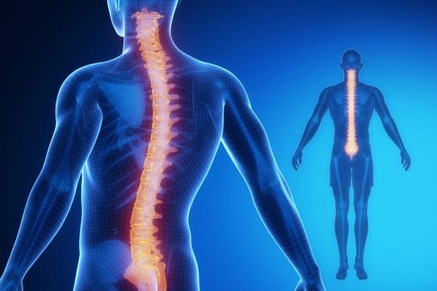 The Spinal Implant Market: A Surge in Growth Expected to Reach USD 22 Billion by 2030
