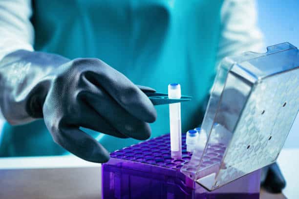 Stem Cell Banking