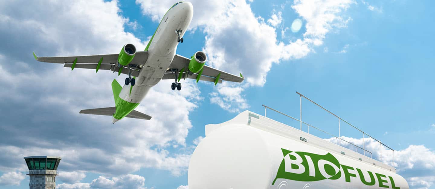 Transport Biofuel