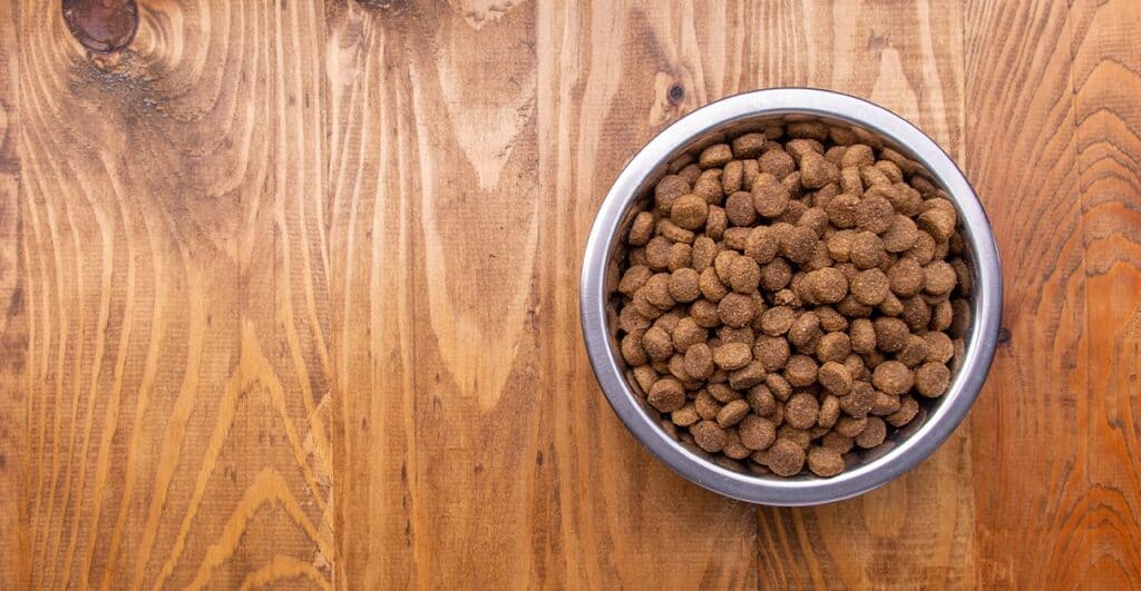 Taiwan Pet Food Ingredients Market Poised for Growth as Pet Health Awareness and Premium Food Trends Rise