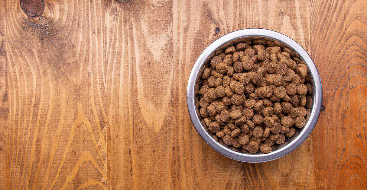 bowl-of-dry-dog-food-graphic-q12022