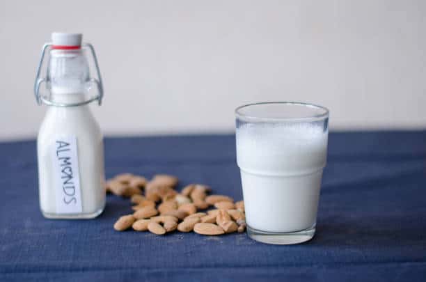 Inhalation Lactose Market Insights: Strategic Growth Forecast and Projections (2025-2035)