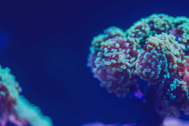 Europe Rare Disease Market Focus: Key Projections for Global Expansion by 2034.