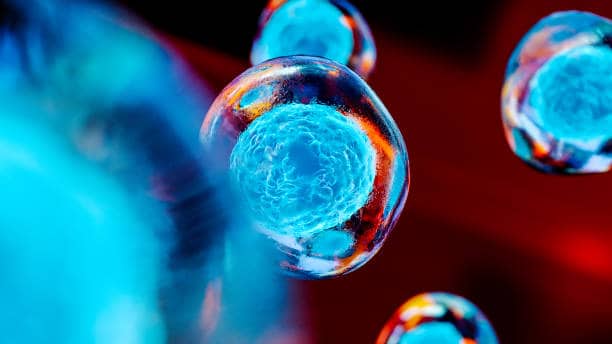 Human Embryonic Stem Cells (HESC) Market Insights on Emerging Opportunities and Global Growth by 2035