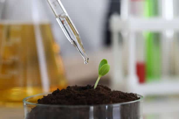 Japan Plant Biostimulant Market Outlook: Transformational Growth is Predicted Through 2035