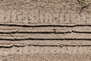 istockphoto-1256530187-612x612