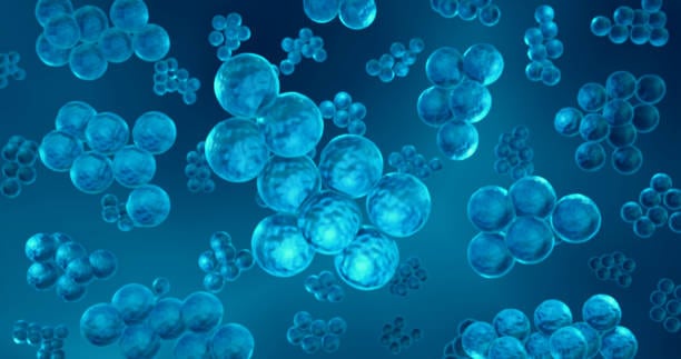 China Hemicellulase Market Opportunities: Growth Insights Across Industries by 2035