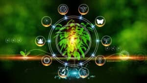 istockphoto-1333701355-612x612