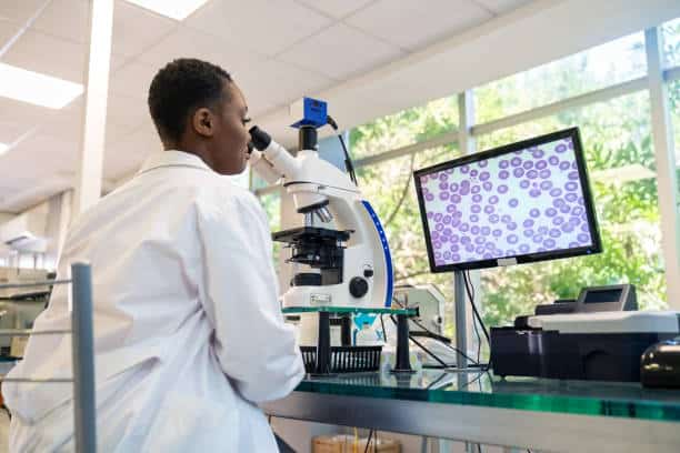 U.S. Digital Microscopes Market Surge: Analyzing Unprecedented Growth Patterns Through 2035