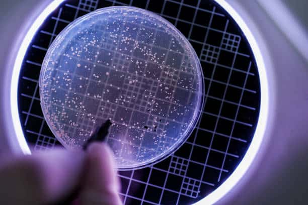 Japan Microbial Fermentation APIS Market Evolution: Projecting Size, Share, and Growth to 2035