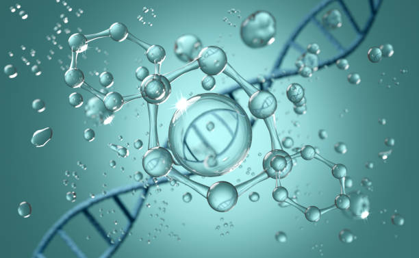 T4 DNA Ligase Market Trajectories: Insights into the Decade Ahead for Size and Share Growth