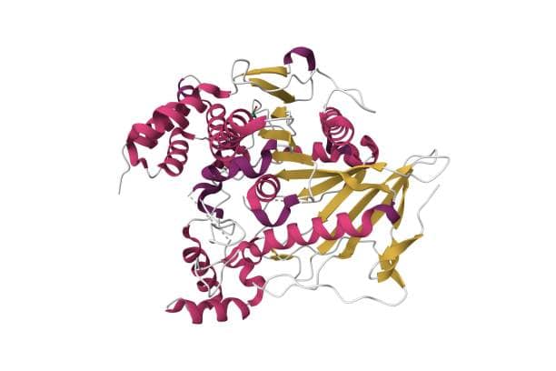 Recombinant Proteins Market Vision 2034: Decade of Growth in Size and Share