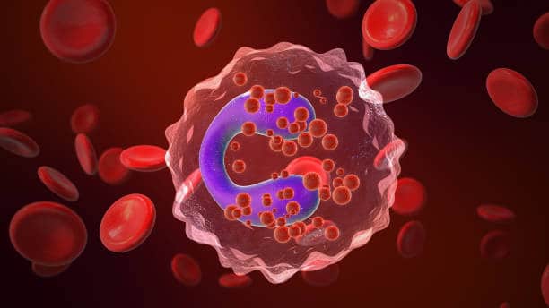 Eosinophilic Asthma Treatment Market Revolution: Revealing Size, Share, and Growth Trends through 2035