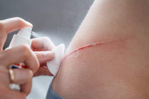 istockphoto-1804837159-612x612