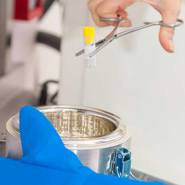 China Dental Stem Cell Storage Market Dynamics: Key Trends Shaping Size and Share Through 2035