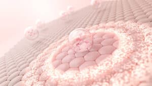 istockphoto-2148224723-612x612