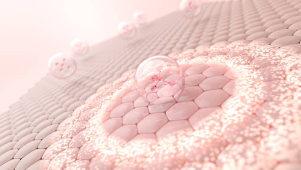 China Regenerative Artificial Skin Market Future: Analyzing Growth Trends and Projections for 2035