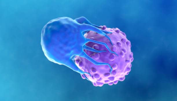 U.S. CAR-T Cell Therapy Market Opportunities: Growth Insights Across Industries by 2034