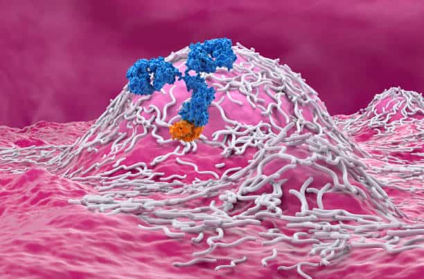 Ependymoma Market Focus: Key Projections for Global Expansion by 2035.
