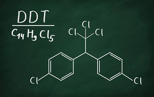 Ethylhexyl Stearate Market Analysis: Unlocking Growth Potential in the Next Decade (2025-2035)
