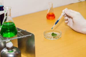 istockphoto-486766294-612x612