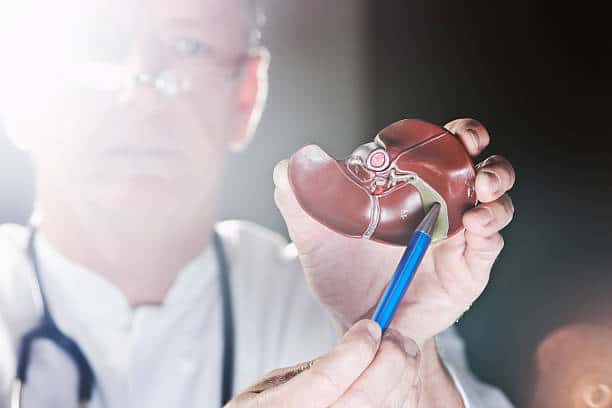 Japan Humanized Liver Mice Model Market Landscape: Complete Growth Analysis and Forecast (2025-2035)