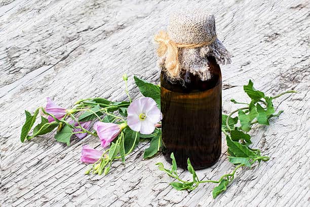 Eugenia Jambolana Extract Market Evolution: Projecting Size, Share, and Growth to 2035
