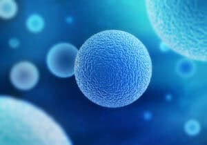 life sciences