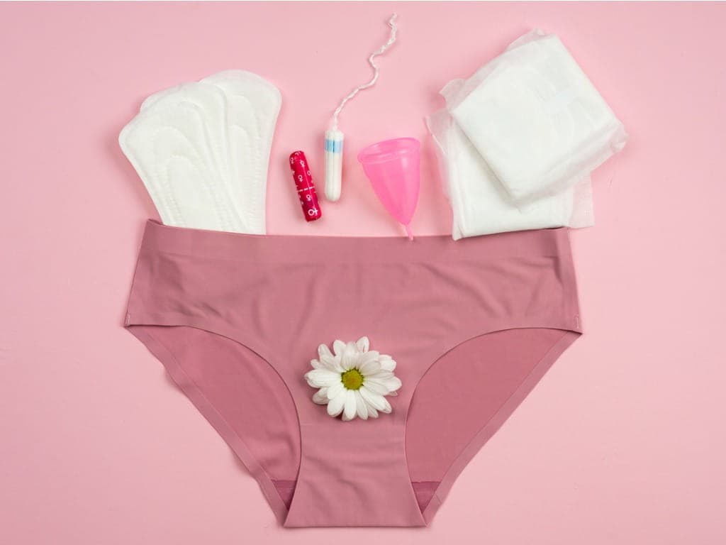 Period Panties Market Poised for Strong Growth as Women Seek Sustainable and Comfortable Alternatives