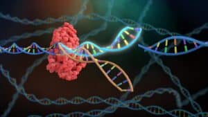 CRISPR Cas93