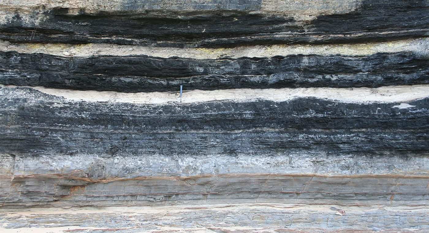 Coal Bed Methane1