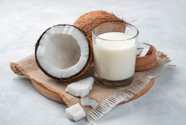Coconut Milk Yogurt Alternatives