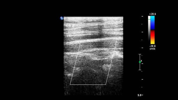 China Microfocus X-Ray Sources Market Outlook: Strategic Growth and Industry Insights