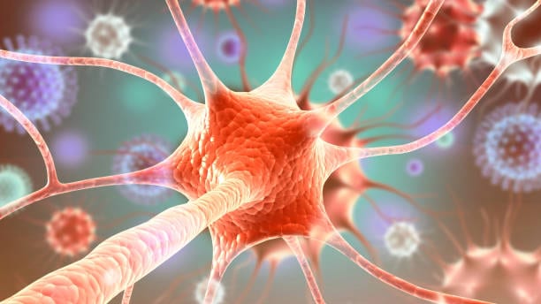 China Neurosurgery Market Growth Unveiled: Strategic Future Insights