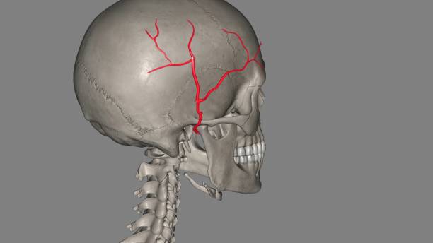 China Unruptured Intracranial Aneurysm Treatment Market Growth: Innovation-Driven Strategy Insights