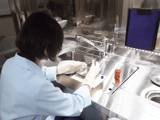 Pathological Examination Market to Reach USD 772.79 billion by 2030, Driven by Technological Advancements and Rising Healthcare Needs