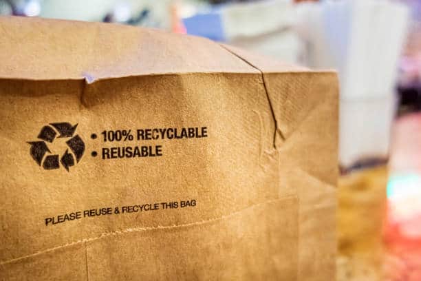Recycled Paper Bags Market Performance Analysis: Key Players and Competitive Strategies in Nafion