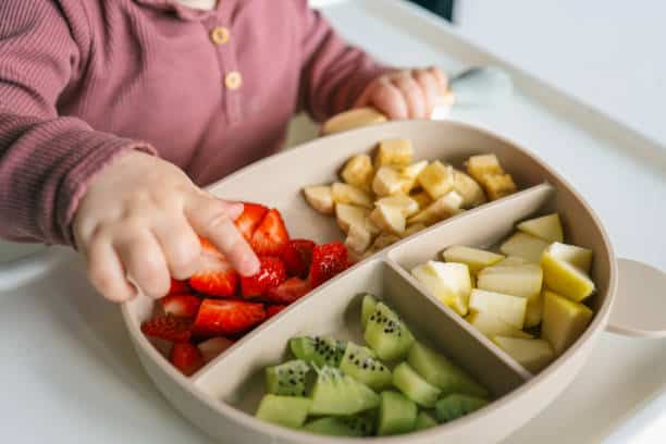 Singapore Feeding System Market Growth Unveiled: Strategic Future Insights