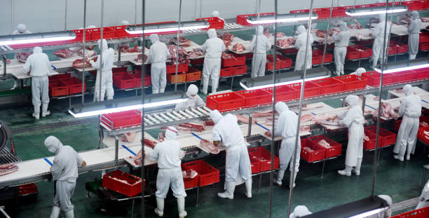 China Meat Processing EquipmentIn Focus: Size, Share, and Growth Trends Explored through 2035