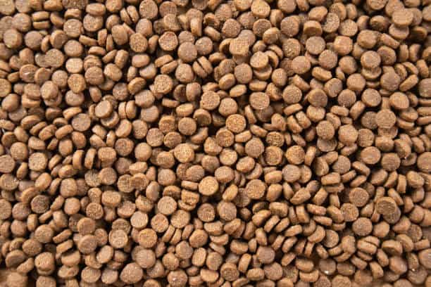 Japan Animal and Pet Nutrition Ingredients Market : Global Key Segments and Revenue Insights (2025-2035)