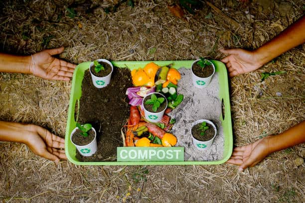 Japan Waste Paper Recycling Market : Global Key Segments and Revenue Insights (2025-2035)