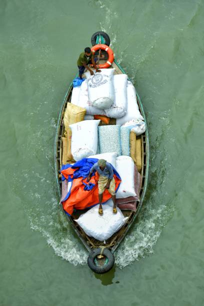 Japan Rowing Accessories Market : Analyzing the Impact of Regulatory Changes (2025-2035)