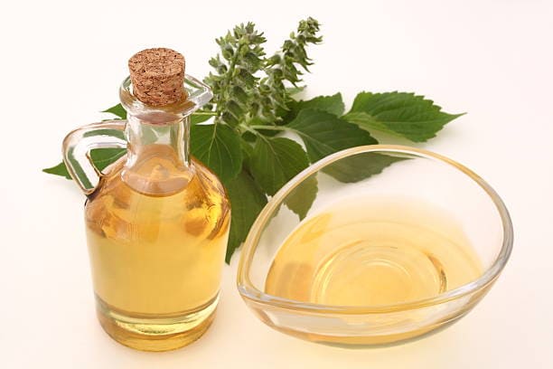 Japan Perilla Oil Market Outlook 2035: Size, Share, and Growth Insights Revealed