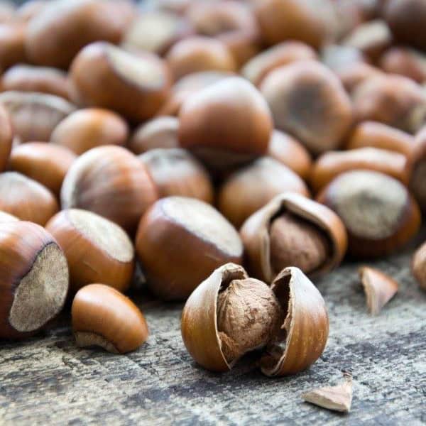 Singapore Hazelnut Market Study: Comprehensive Segmentation and Forecast