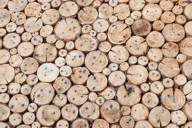 United States Ambient Energy Harvester Market Industry Forecast: Navigating the Trade-Off Era Amid Global Economic Uncertainty