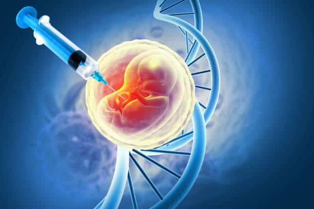 Korea Amniocentesis Needle Market Study: Comprehensive Segmentation and Forecast