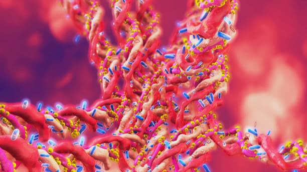 North America Cosmetic Peptide Synthesis Market Dynamics: Regional Breakdown and Analysis
