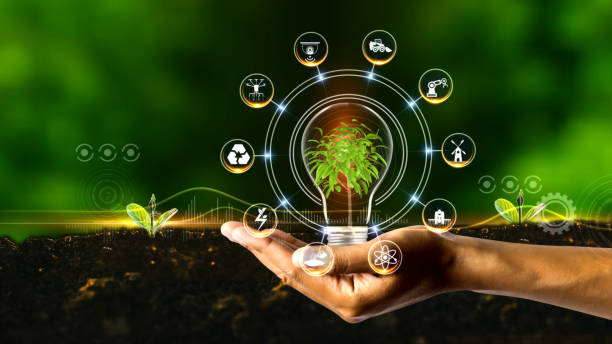 Korea Environmental Catalysts Market Outlook 2025: Forecasting Growth in a Time of Economic and Policy Shifts