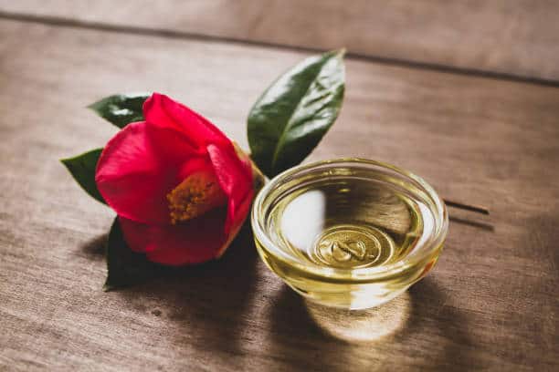 North America Extra Virgin Camellia Oil Market Strategies: Competitive Insights for Expansion